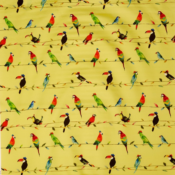 Prestigious Textiles Toucan Talk Curtain Fabric | Zest - Designer Curtain & Blinds 