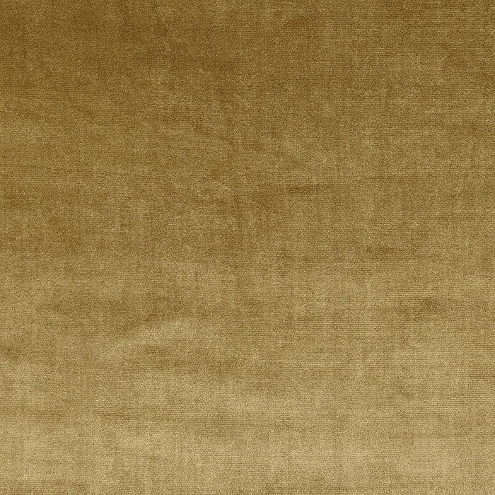 Prestigious Textiles Velour Curtain Fabric | Gold - Designer Curtain & Blinds 