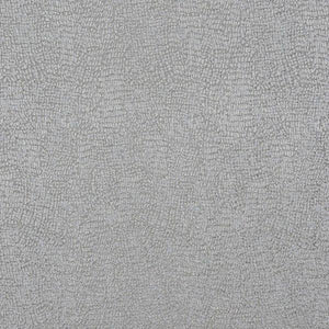 Fryetts Serpa Curtain Fabric | Stone